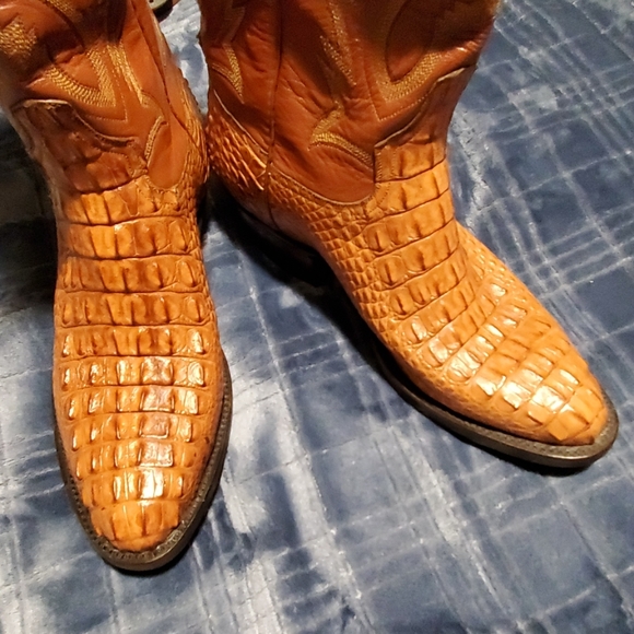 NWT LA Gator American Hornback main image 12